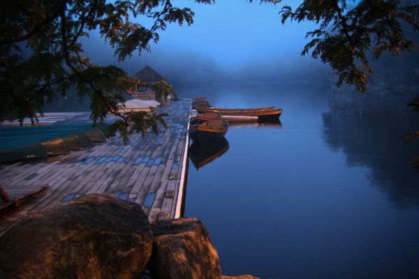 Image (12)