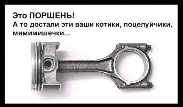 FB IMG 15736791705948374