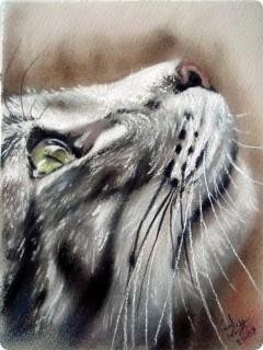 Art Cat