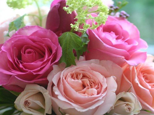 file_86390292