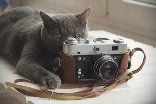 Фотограф