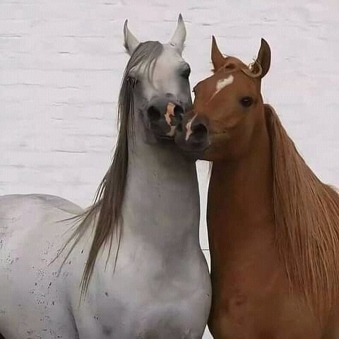 FB IMG 16310571091007806