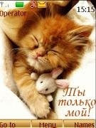 kitten-love