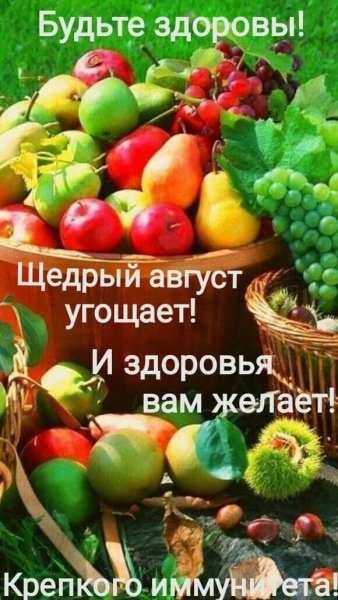 IMG-20250801-WA0010