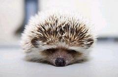 f152b8f672b74342d69ac966248810fbecc8d68b