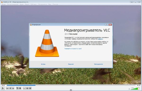 VLC media player 2.2.1 Final win32