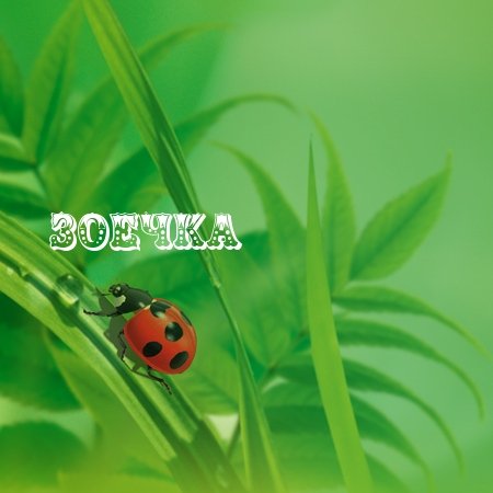 Зоечка