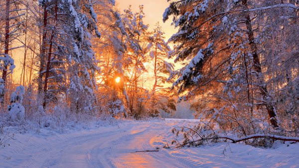 file_94136156
