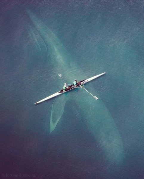 file_90868074