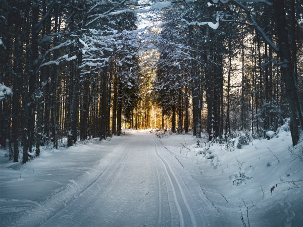 Обои для ПК
