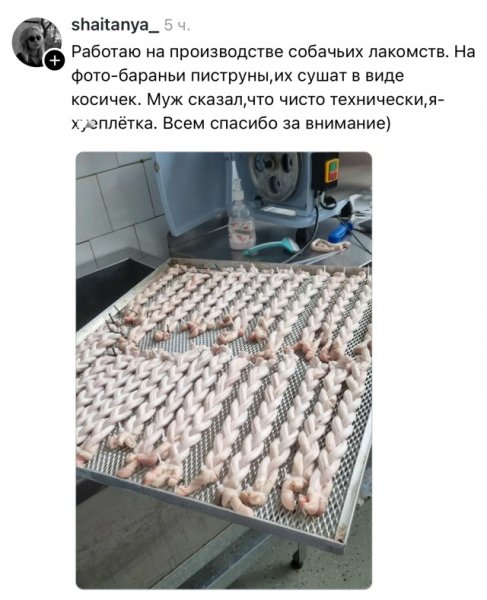 file_102196938