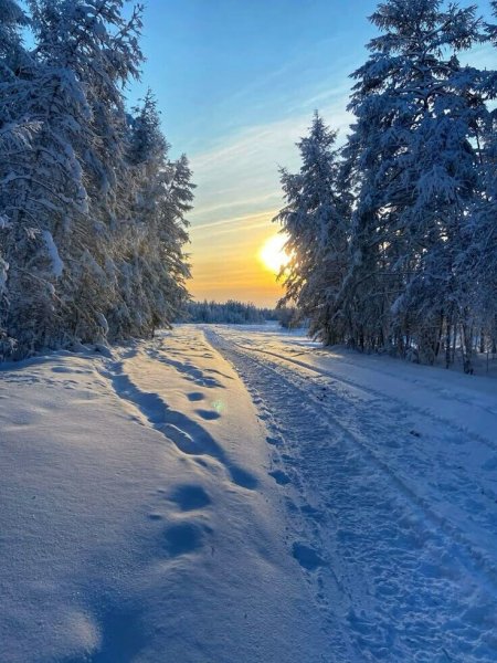 file_101552906