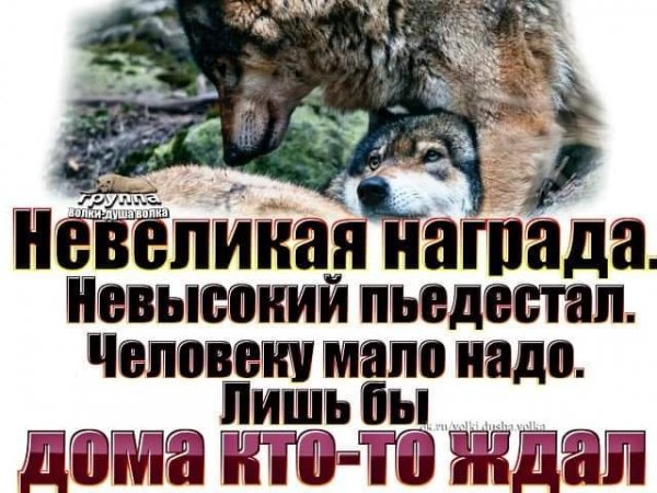 Не великая награда