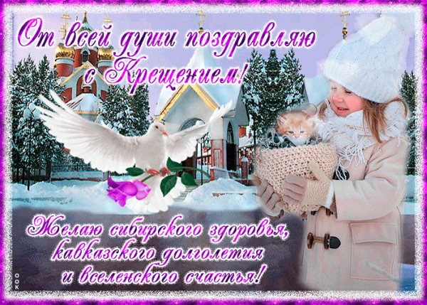IMG 20200119 193946