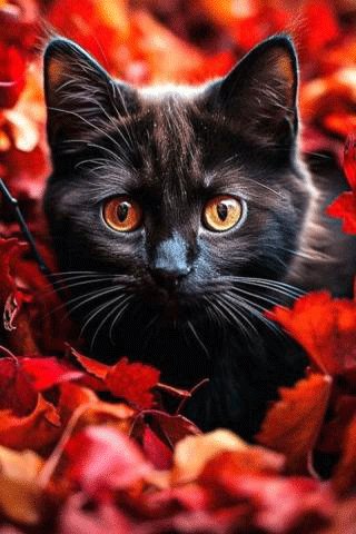 file_94758209