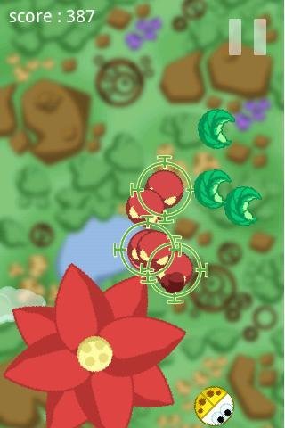 lady bug 18