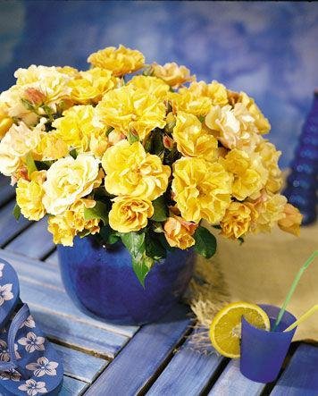 file_85274674