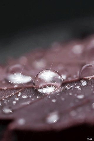 file_66123074
