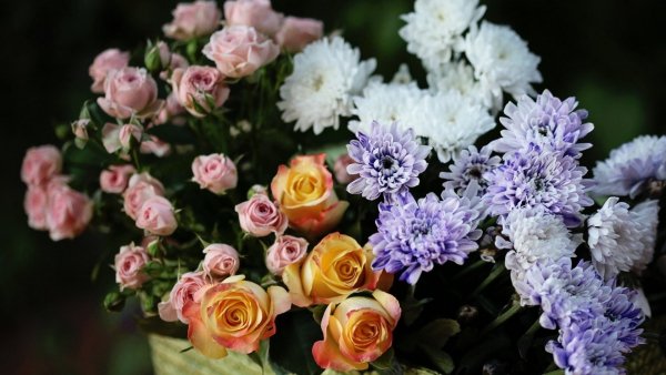 Image (48)
