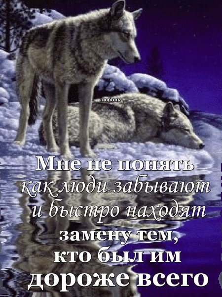 IMG 20250624 072845
