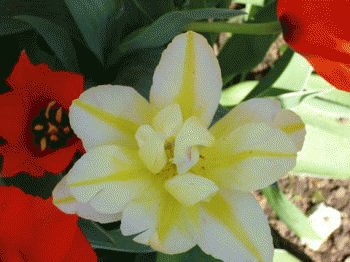 file_85274603