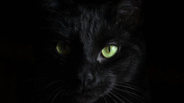 black cat 5k 4k