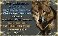 мнение