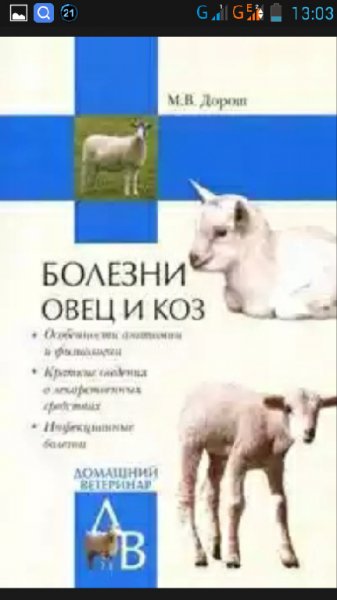 Болезни овец и коз