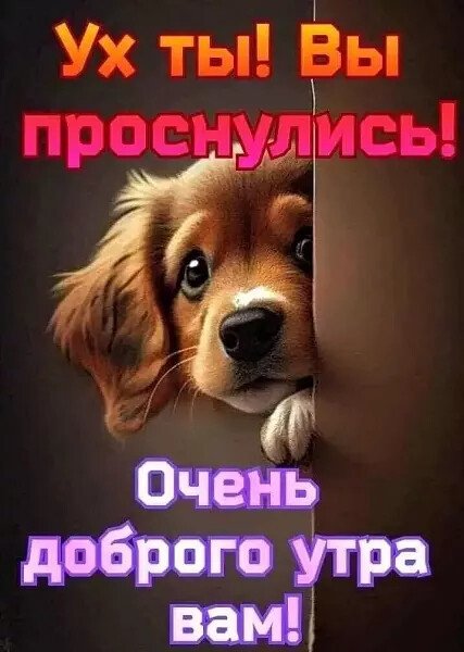 IMG 20240325 114012
