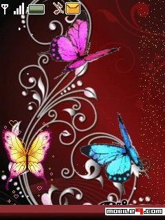 animated butterfly001