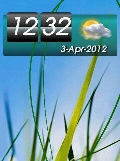 Grass