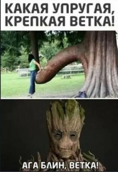 x500