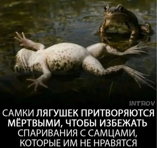 IMG 20260825 164325