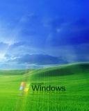 Windows
