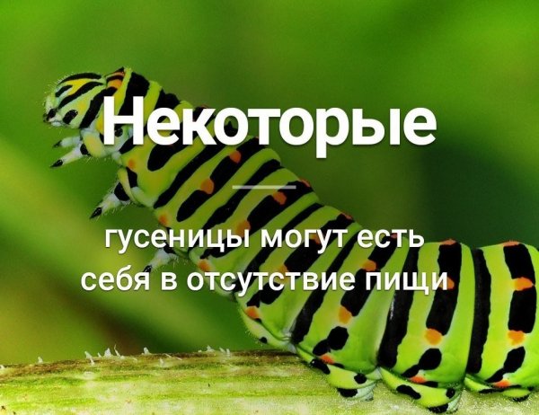 IMG-20180227-WA0020