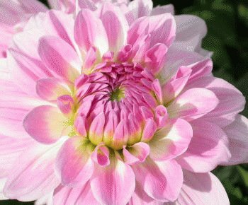 file_85268914