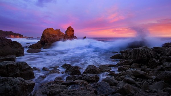 file_81397390