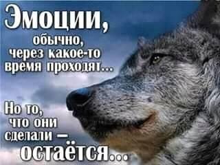 Эмоции