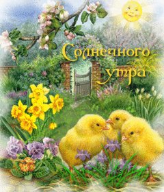 Солнечного утра