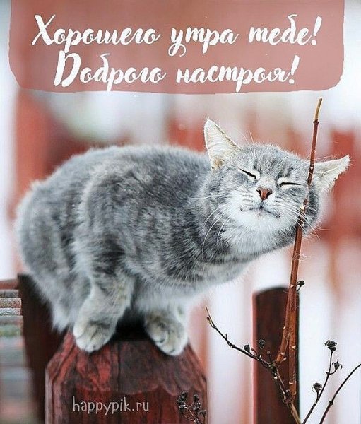 file_90557810