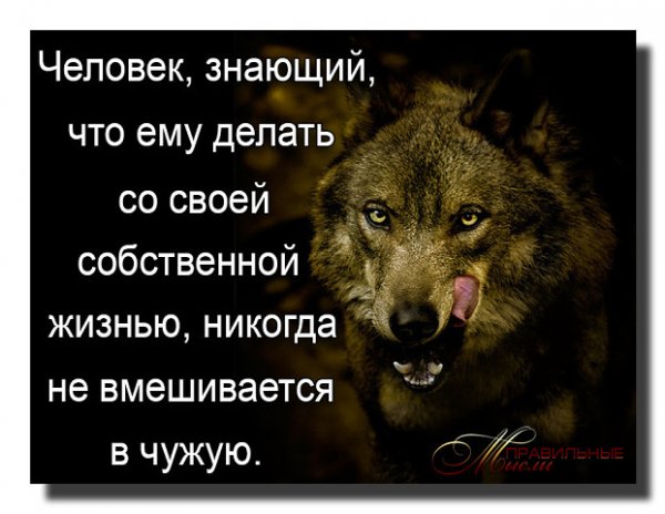 Со смыслом