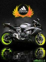 Moto adidas by akela73
