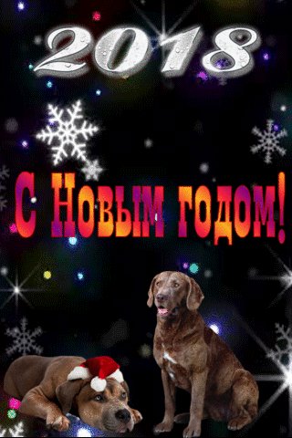 file_71902523
