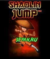 Shaolin Jump 240