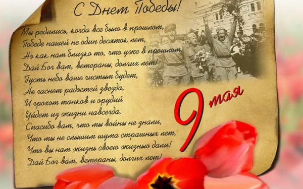 image (17)
