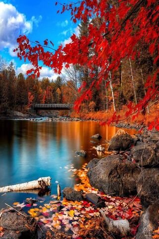 file_94152634