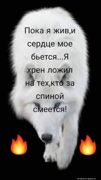 I (4240)-