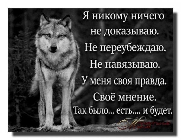 Своё мнение