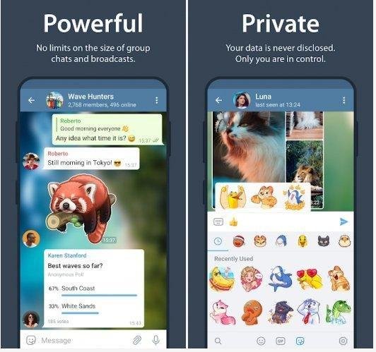 Telegram v9.6.7 Mod
