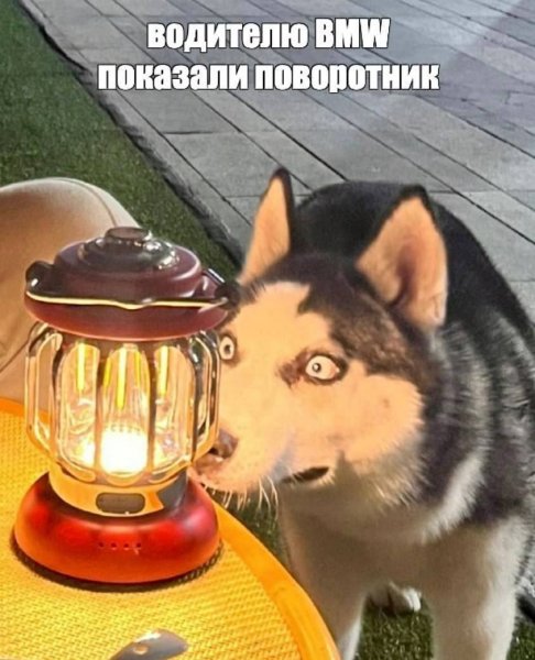 IMG 20260829 232004 199